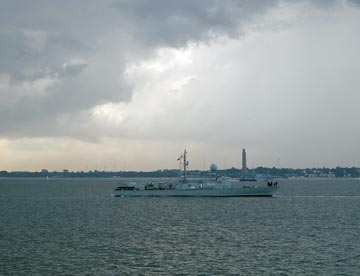 Albatros
