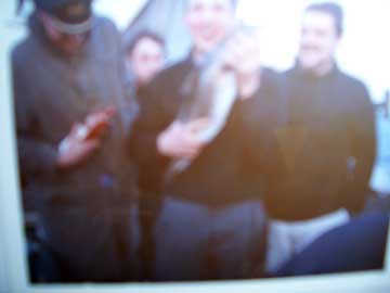 Treffen Hameln