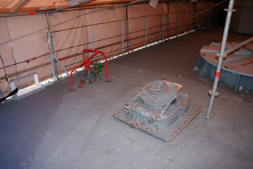 Albatros